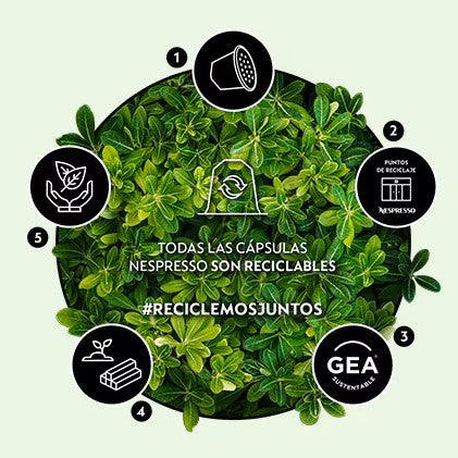 Nuevo servicio de reciclaje: Reciclá en casa